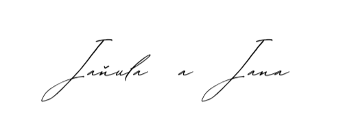 White Minimalist Handwritten Signature Typography Logo